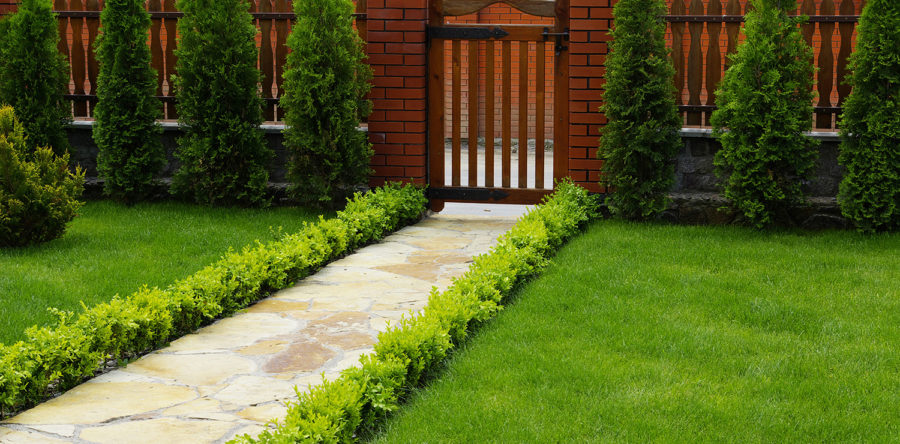 desk-decorating themes