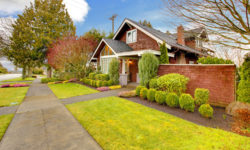 Lorem ipsum dolor sit