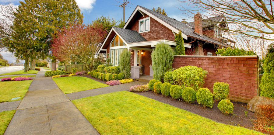 Lorem ipsum dolor sit